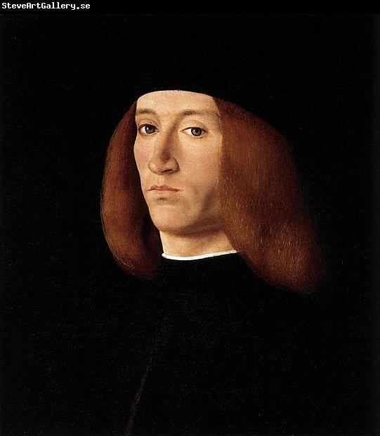 Andrea Solario Portrait of a Young Man after